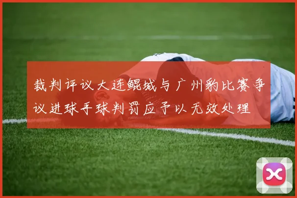 裁判评议大连鲲城与广州豹比赛争议进球手球判罚应予以无效处理
