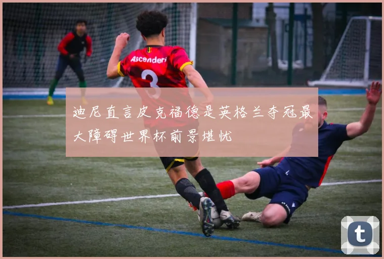 迪尼直言皮克福德是英格兰夺冠最大障碍世界杯前景堪忧